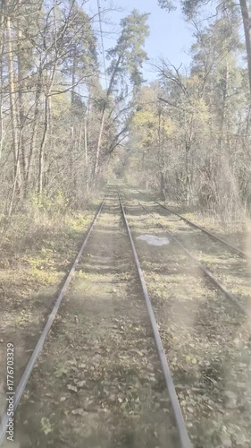 Vintage tram moving along leafy tracks under soft sunlight