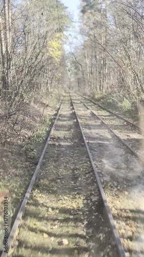 Vintage tram moving along leafy tracks under soft sunlight