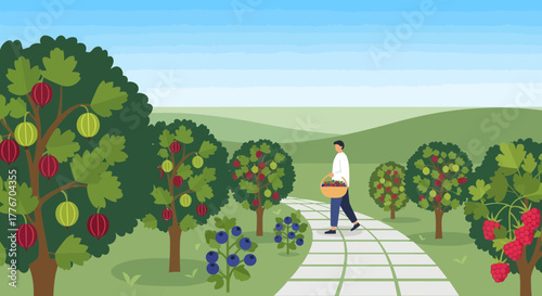 A Gardener Carrying a Basket of Harvested Fruits Along a Pathway in Orchard