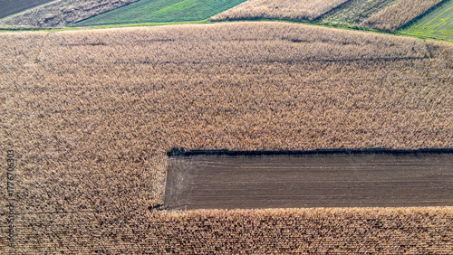 Aerial view of a golden wheat field and green patch during harvest season, showcasing the agricultural landscape and patterns created by farming activities.