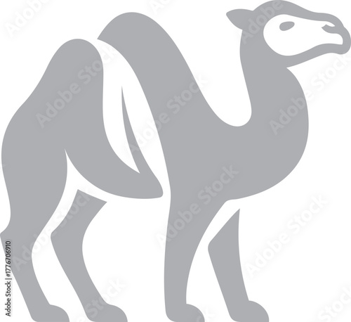 Grey camel silhouette on white background dromedary, Desert camel vector design black and white graphic