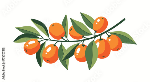Abstract Branch With Orange Fruits And Green Leaves Isolated On White Background