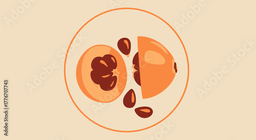 A Vibrant Orange Fruit, Intricately Designed, Serving Freshness, Ready to Consume