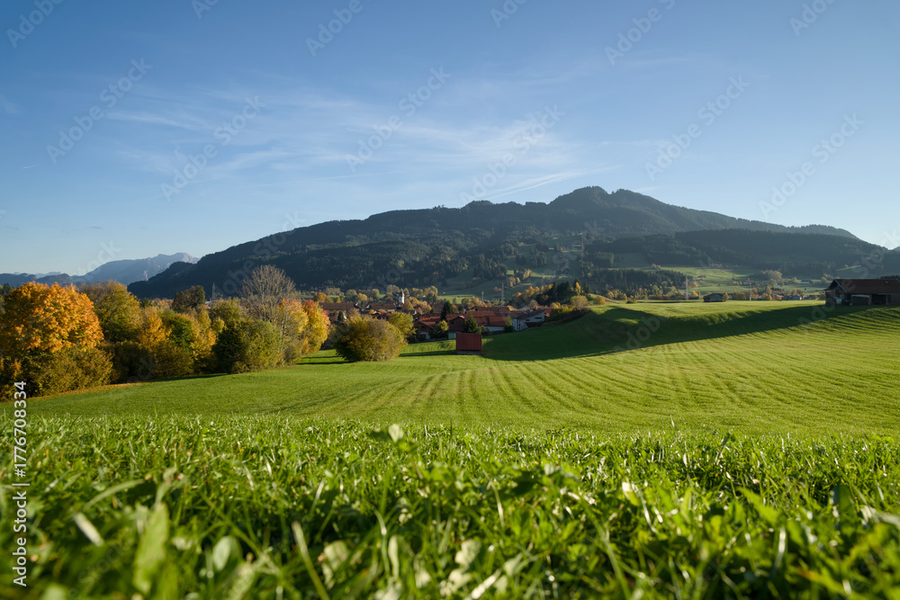 Fototapeta premium Golden autumn trees in Indian summer colors at sunset in Nesselwang, East Allgäu Alps. Soft evening light on German Alps during sunny fall day in Bavaria. Goldener Herbst Bayern.