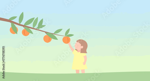 A Young Girl Plucks Ripe Peaches From a Branch on a Sunny Summer Day