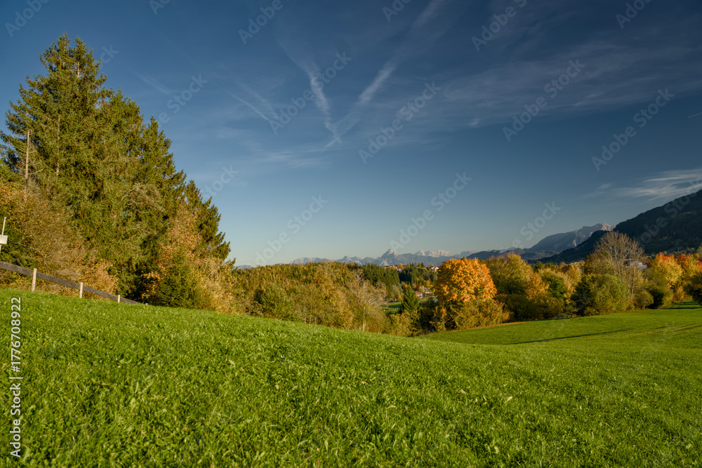 Fototapeta premium Golden autumn trees in Indian summer colors at sunset in Nesselwang, East Allgäu Alps. Soft evening light on German Alps during sunny fall day in Bavaria. Goldener Herbst Bayern.