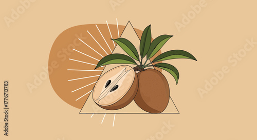 Artistic Sapodilla Fruit Illustration With Geometric Shapes and Neutral Earth Tones