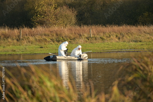 Geflügelpest in Brandenburg, Bergung toter Kraniche.