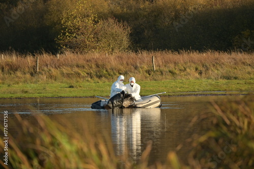 Geflügelpest in Brandenburg, Bergung toter Kraniche.