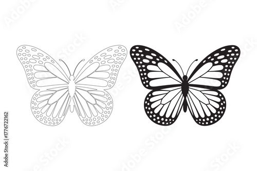 Monarch butterfly outline and detailed illustration