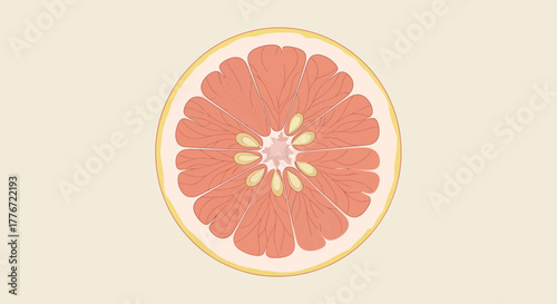 A Circularly Sliced Citrus Fruit Displayed with Artistic Design and Elegant Illustration