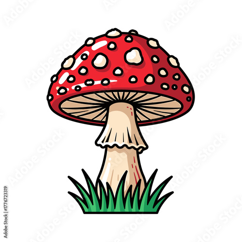 Amanita muscaria mushroom with red cap and white spots