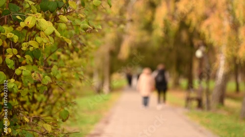 Wallpaper Mural walking in the park Torontodigital.ca