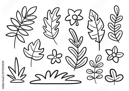 Doodle leaves and flowers set. Simple black and white botanical hand-drawn plant coloring page for kids. Vector outline illustration.