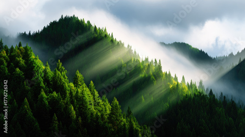 Sunlight piercing fog in mo...