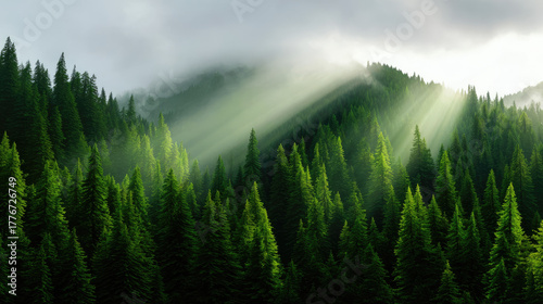 Sunlight piercing fog in mo...