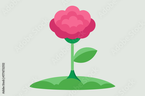 A single pink flower bloom