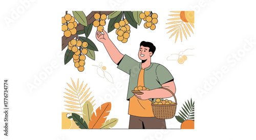 A Person Harvesting Juicy Fruits from a Tree, Showing Abundance and Freshness on a Warm Day