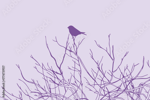 bird silhouette on bare tree branch against pale purple sky