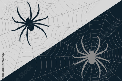 spider mirrored web composition with black spider left light spider right
