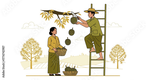 Durian Harvest: An Illustration of Workers Harvesting Exotic Fruit from a Tree