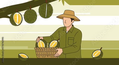 Durian Harvest Illustration: Orchard Farmer Delivering Fresh Durian Fruit for Sales