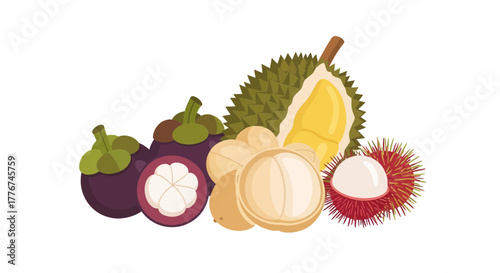 Exotic Fruits Collection Displaying Mangosteen, Durian, Longan, and Rambutan in Vivid Illustration