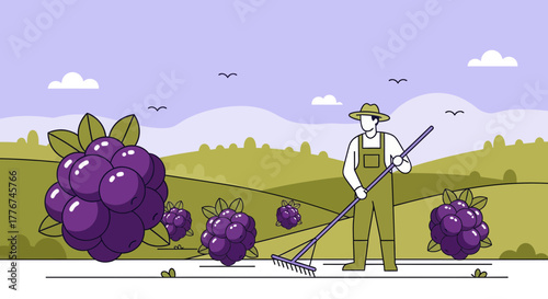 Farmer Working In Blackberry Field Harvesting With a Rake Agricultural Illustration
