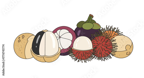 Exotic Fruits Illustration Displaying Colorful Varieties from Tropical Regions of the World