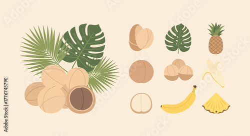 Exotic Nut And Tropical Fruit Assemblage With Detailed Botanical Illustrations