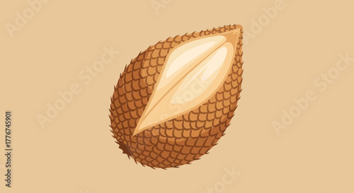 Exotic Salak Fruit Illustration Set Against Beige Background With Realistic Textures