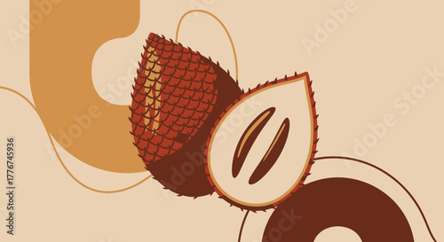 Exotic Salak Fruit Illustration With Geometric Design Elements For Editorial Use