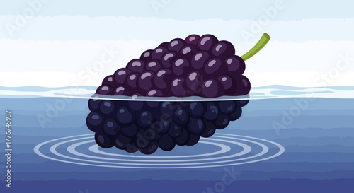 Floating Purple Grapes with Reflection on the Surface of Water, Peaceful Nature Scene