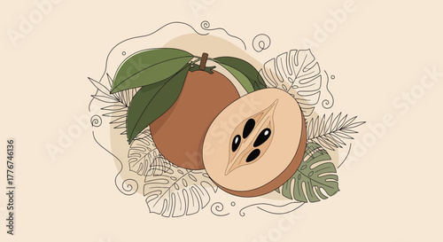 Exotic Sapodilla Fruit Illustration With Botanical Outlines Creating Attractive Designs