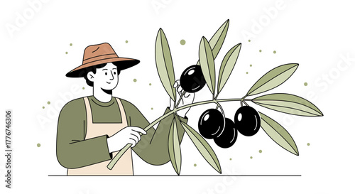 Farmer Appreciating Olive Branch: A Vector Illustration of Harvest and Freshness