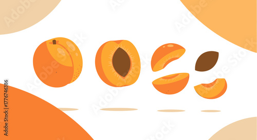 Fresh Apricot Illustration Displaying Fruit Sections and Seed On a White Background