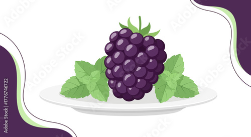 Fresh Blackberries and Mint Arrangement on a White Plate, Illustrated Design