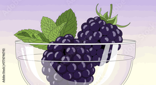 Fresh Blackberries and Mint Leaves Served in Glass Bowl Illustration Design