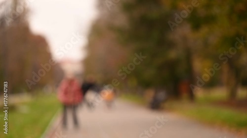people walking in park
