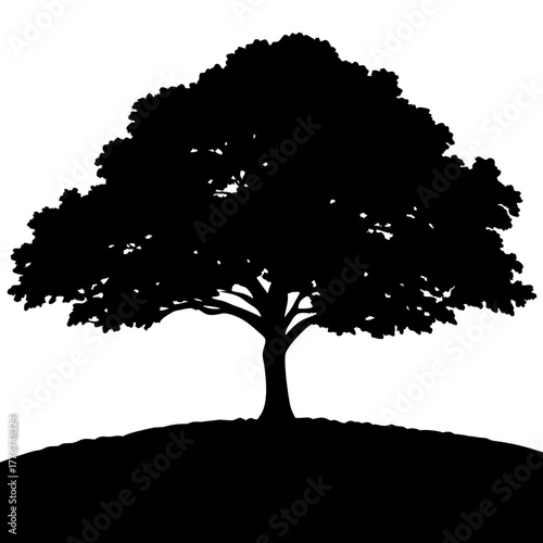 Silhouette of a leafy tree