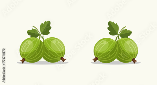 Fresh Gooseberries Isolated Illustrations: Edible Berries with Leaves Against a White Background