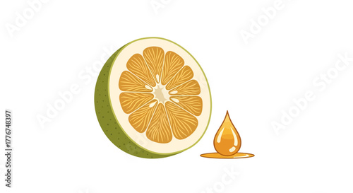 Fresh Citrus Slice and Serum Drop Illustration Against a Clean White Background