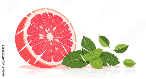 Fresh Grapefruit And Mint Illustration Suitable For Drinks And Culinary Projects