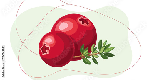 Fresh Cranberries and Thyme Sprig on a Neutral Background Decorative Illustration