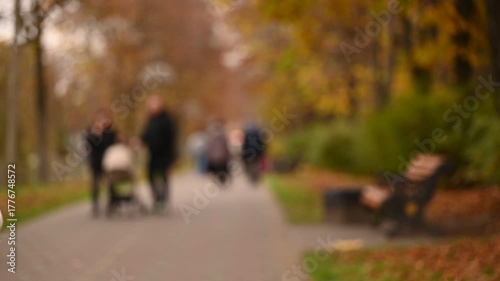 people walking in autumn park