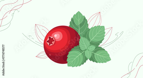 Fresh Cranberry and Mint Illustration for Beverage or Design Elements