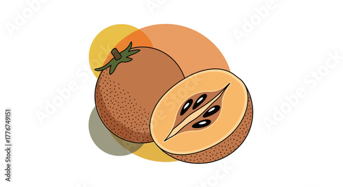 Fresh Illustration Of Sapodilla Fruit Displays Sweetness And Natural Delight