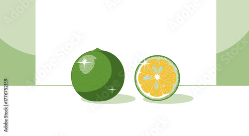 Fresh Lime Illustration: A Vibrant Artistic Depiction of Citrus Fruits for Design