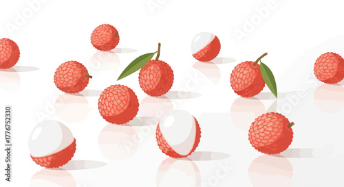 Fresh Lychee Fruits Isolated on White Reflective Surface, Vector Illustration