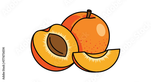 Freshly Cut Apricots Illustration: Deliciously Ripe Fruits Vector Graphics on White